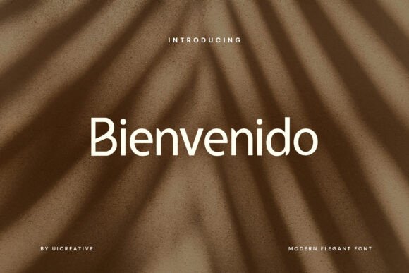 Bienvenido: The Bold Sans Serif Font for Editors