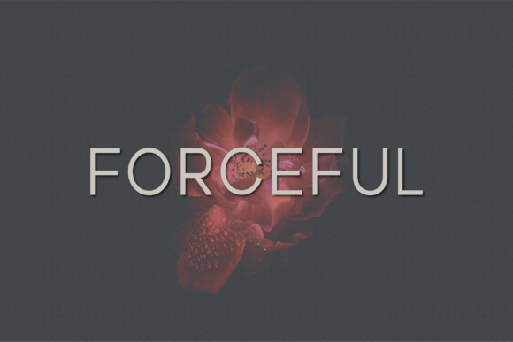 Forceful: The Elegant Sans Serif Typeface for Makers